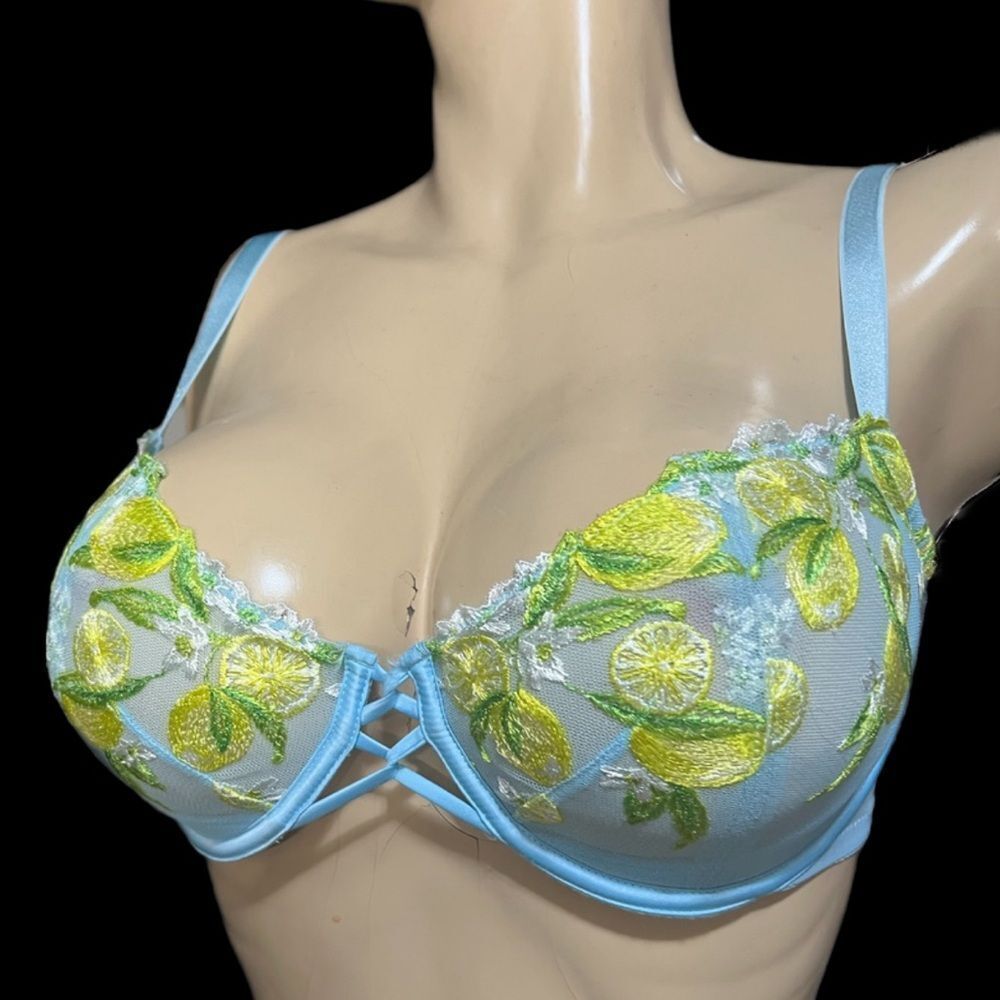 Victoria’s Secret Push Up without the padding lemon embroidered mesh blue 34DDD